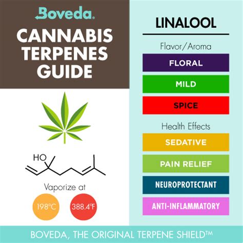 Linalool Terpene: Boveda Terpene Spotlight | Boveda