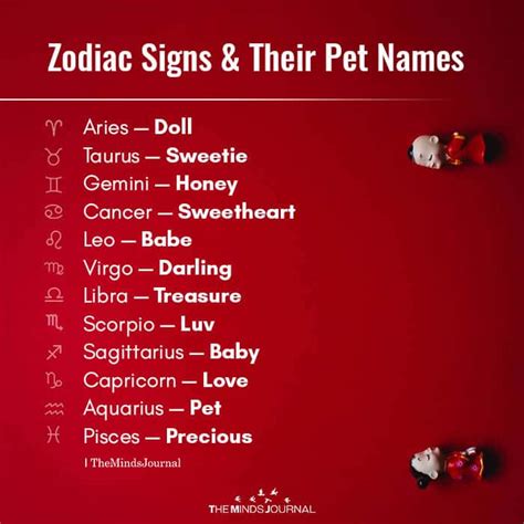 Zodiac Signs And Their Pet Names