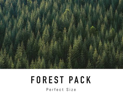 Forest Zoom Background Pack 5 Nature Virtual Background Images for Zoom ...