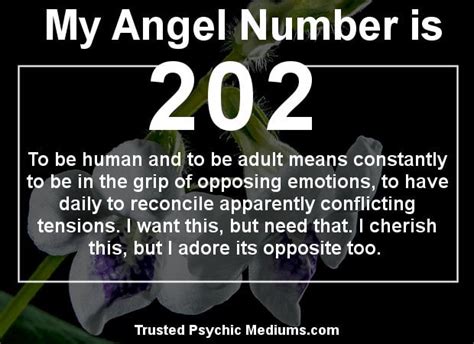 Angel Number 202 means that Love is in the air. Discover why...