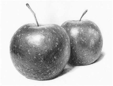 Apples Still Life Drawing by Nolan Clark - Fine Art America