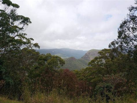 Gold Coast Hinterland Accommodation - Luxury Retreats