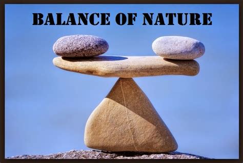 Balance Of Nature - fasrdirect