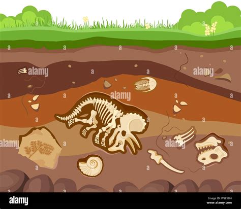 Soil ground layers with buried fossil animals, dinosaur, crustaceans and bones. Vector flat ...