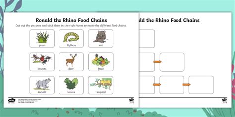 Ronald the Rhino Food Chains Worksheet | Food Chain Sorting