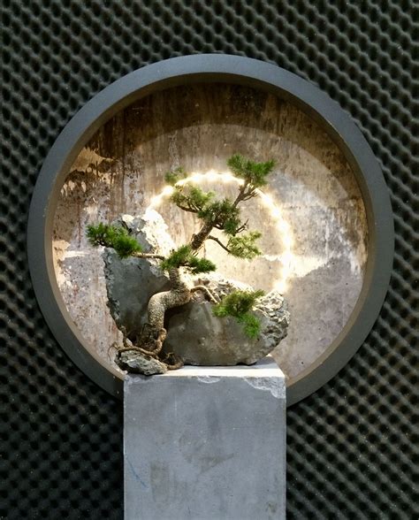 Bonsai and Concrete Lamp Terrarium Plants, Bonsai Plants, Bonsai Garden, Fairy Garden, Garden ...