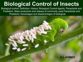 Biological Control of Insects | PPT