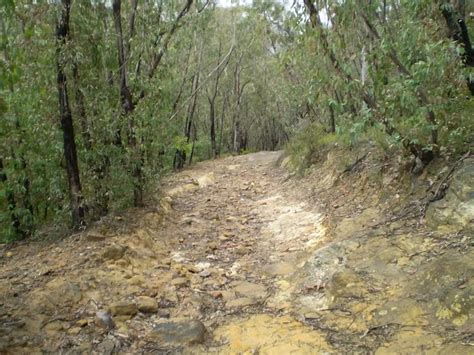 The Deep Pass Trail walking track