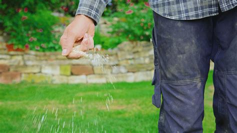 Caring for Fescue Grass - What Is the Ideal Fertilization Schedule? | TurfXpert