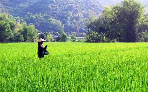 Mai Chau, the hidden Valley of Northern Vietnam