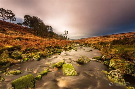 River Liffey | River, Places to visit, Country roads