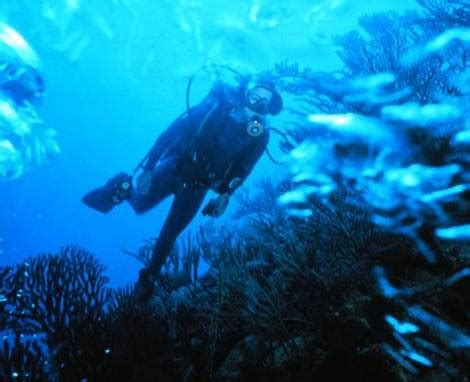 Oh My Tourism: Scuba Diving Guide at perhentian Island Malaysia.