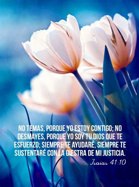 100+ Imágenes Cristianas Isaias 41:10 | No Temas yo Estoy Contigo | Isaías 41:10, Versos ...