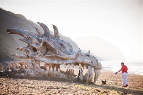 Video: Discovered a skeleton of a Dragon of 18 meters in China ? Real or fake ? - Infinity Explorers