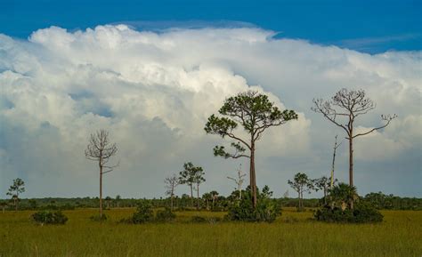 Climate Impacts on Terrestrial Ecosystems - Climate Adaptation Explorer