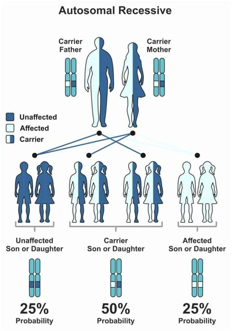 Glycogen Storage Disorders | Dandk Organizer