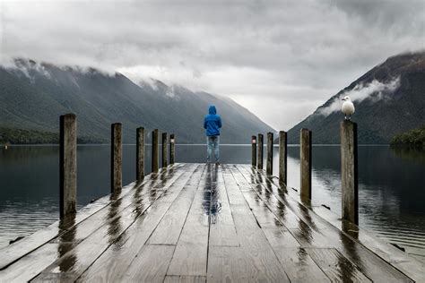 500+ Amazing Rain Photos · Pexels · Free Stock Photos