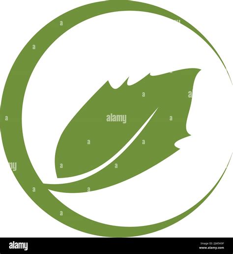 Leaf icon logo design inspiration vector template Stock Vector Image ...