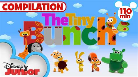 babytv tiny bunch - Youtube Kids