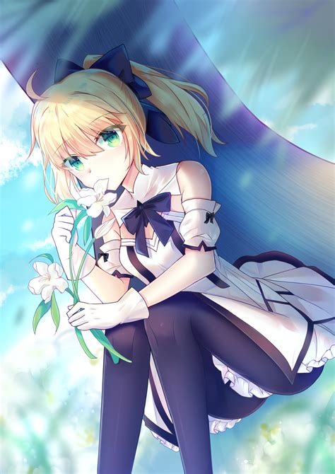 Saber Lily with a lily flower : r/Saber