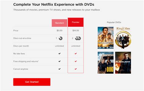 What Was the Netflix DVD Rental Program?