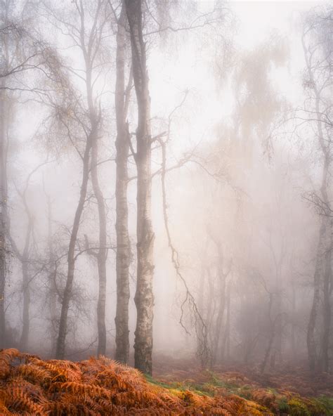 Geraint Evans-2 | On Landscape