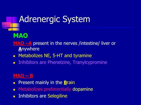 PPT - ADRENERGIC TRANSMISSION PowerPoint Presentation, free download - ID:4628737