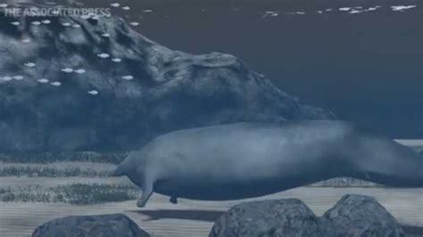 The heaviest animal ever may be ancient whale found in Peruvian desert ...