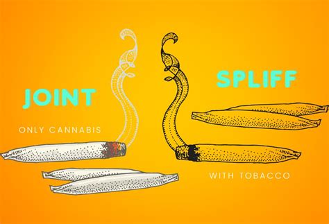 Joint vs Spliff | Compare Cannabis Joint with Spliffs - GreenGuide