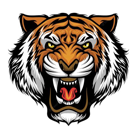 Tiger PNG Transparent Images Free Download - Pngfre