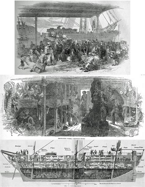 Immigrant Ships/Steerage: - Our Family Histories