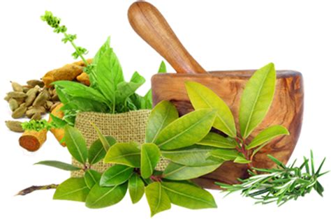 Ayupra: WHY AYURVEDA IS BETTER THAN ALLOPATHIC