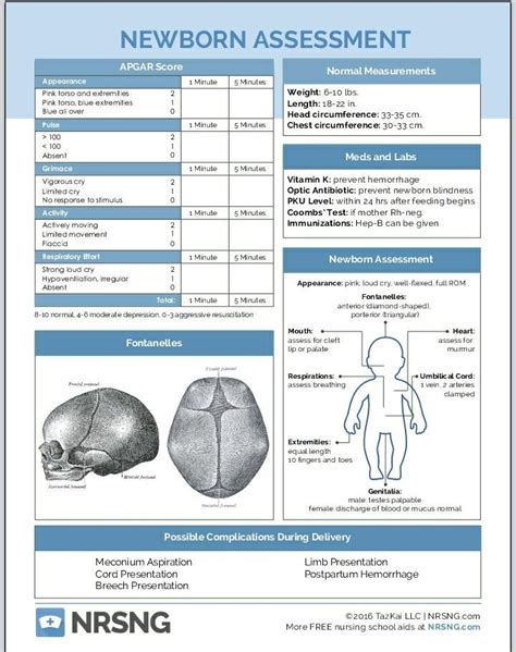 Newborn Assessment Cheat Sheets Newborn Assessment Nursing | Free Nude ...