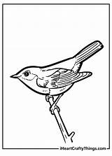 Birds Coloring Pages  Cool sketch template