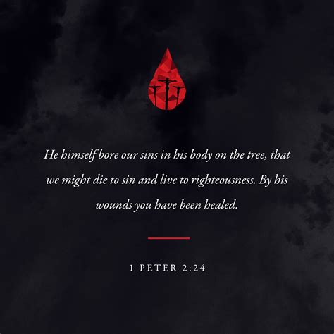 1 Peter 2:24 Christ carried our sins in his body on the cross. He did ...