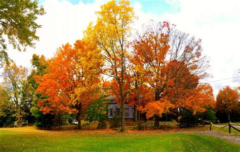 Fall in the Forest: Northeastern Ohio Hiking Hot Spots | SkyAboveUs