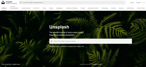 Everything you need to know about Unsplash - brandox.com