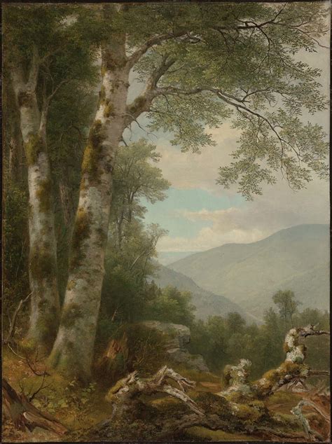 Landscape with Birches by Asher Brown Durand | USEUM