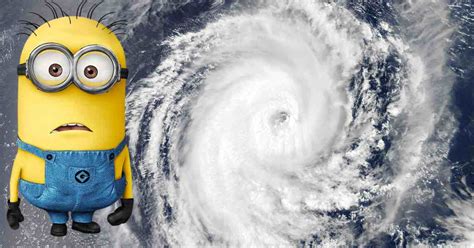 Best Hurricane Idalia Memes About The Category 3 Storm