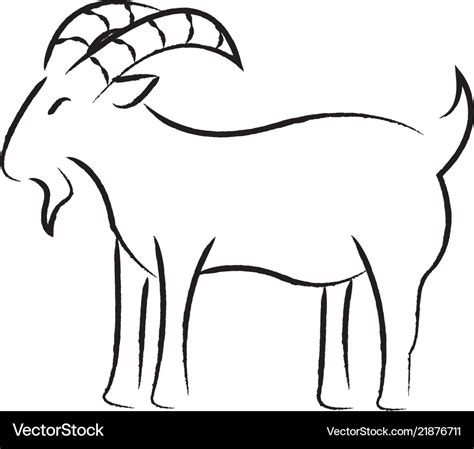 Outline draw goat Royalty Free Vector Image - VectorStock