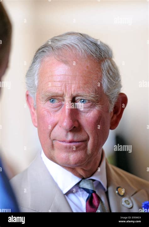 A relaxed and smiling Prince Charles during a public engagement in Sussex Stock Photo - Alamy