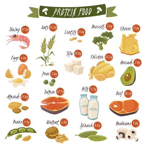 PROTEIN NEEDS IN ULCERATIVE COLITIS - Nutrition 4 IBD