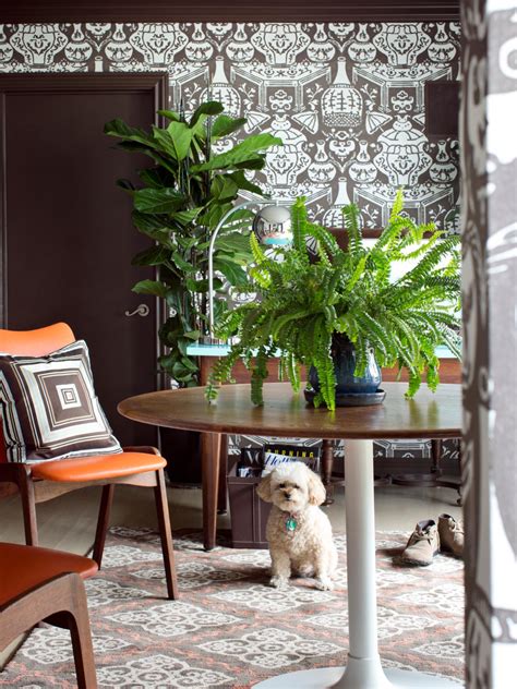 How to Take Care of a Fern Indoors | HGTV