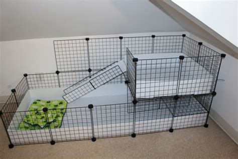 Cavia kooien | Cavia specialist | Caviakooi de C&C Cages Nederland