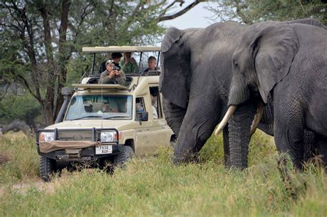 5 Days Tanzania Luxury Safari | Tanzania Wildlife Safari Packages