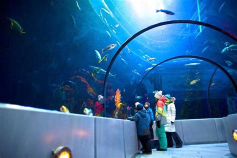 Photos - Aquarium du Québec - Centres touristiques | Ville de québec, Touriste, Québec