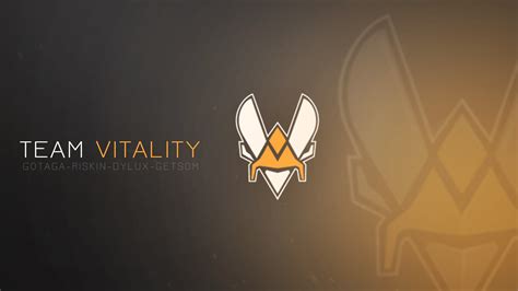 Team Vitality Wallpapers - Top Free Team Vitality Backgrounds - WallpaperAccess