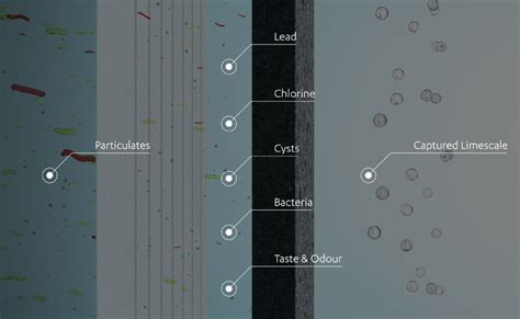 Zip MicroPurity Filtration | Chilled, Boiling & Sparkling Water Taps | Zip Water