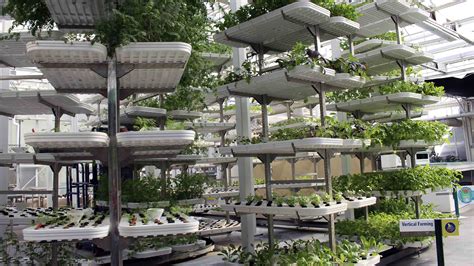 Vertical Farming Isn't the Solution to Our Food Crisis