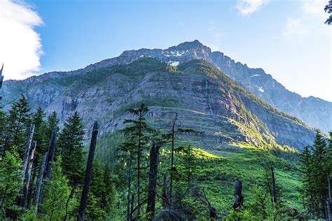 Avalanche Lake trail Photograph by Jessica Ash - Pixels